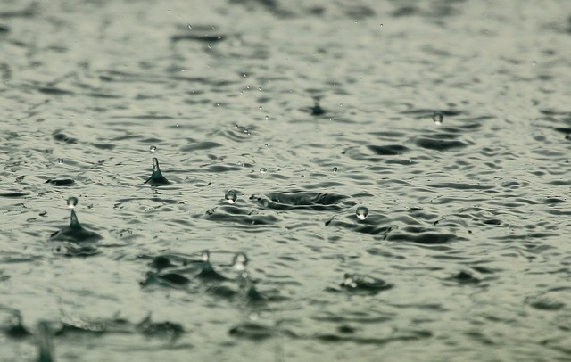 Contoh Puisi Berjudul Hujan, Sampai Jumpa Senja Menyapa Hujan