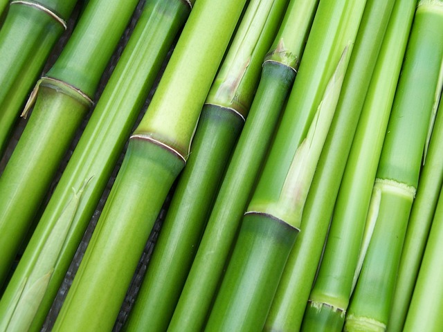 Kerajinan dari Bambu yang Unik dan Mudah Dibuat, Ada Asbak, Obor Hingga Rak Sepatu