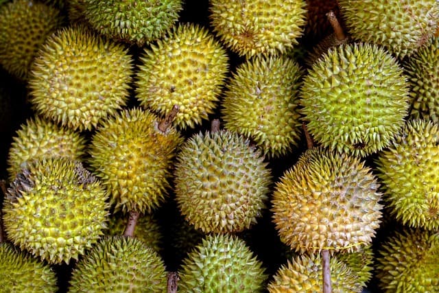 4 Kecamatan Penghasil Durian Terenak di Magelang, Pencinta Durian Wajib Mampir
